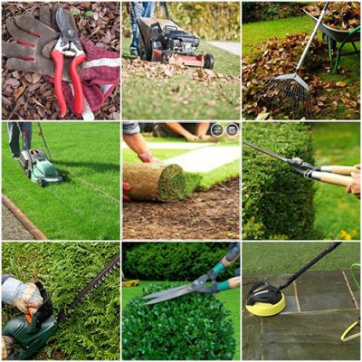 DỌN VƯỜN, CẮT TỈA CÂY - GIA ĐÌNH CƠ QUAN CÔNG SỞ